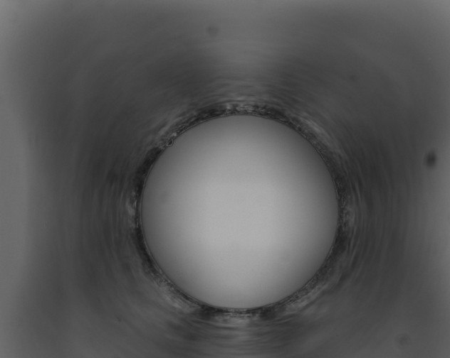 X0000091730661200708241045