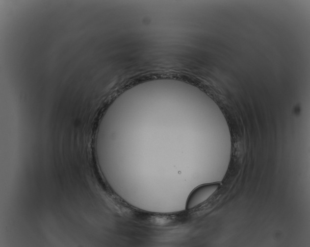 X0000091730662200708241045