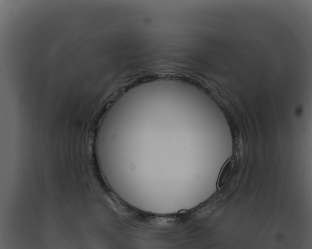 X0000091730664200708241045