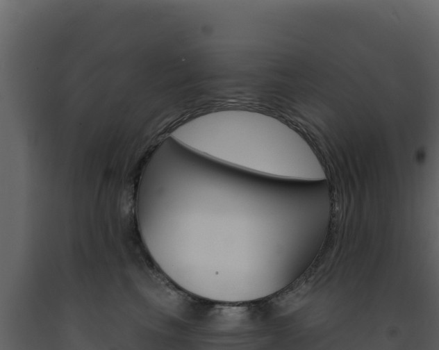 X0000091730665200708241045