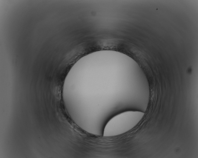 X0000091730666200708241045