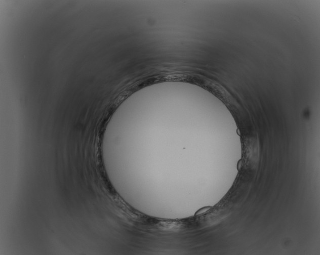 X0000091730667200708241045