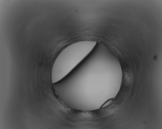 X0000091730668200708241045