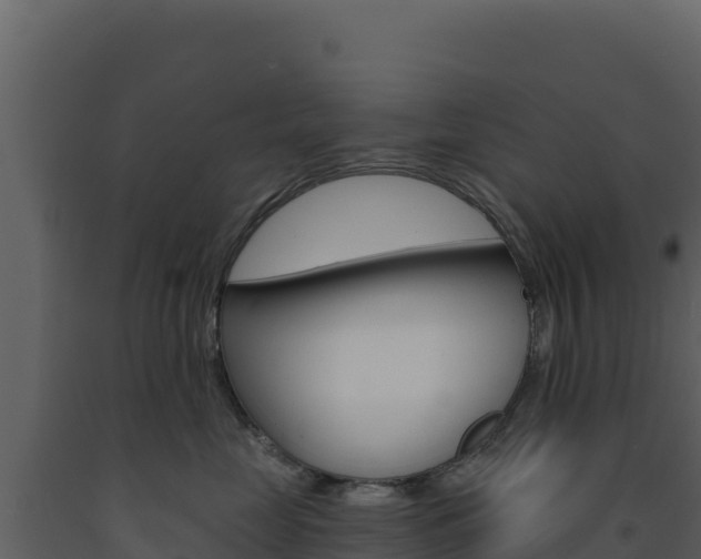 X0000091730669200708241045