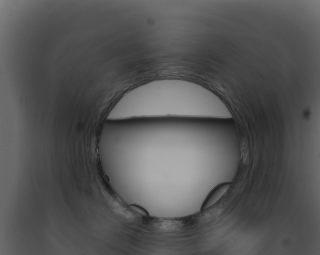 X0000091730670200708241045