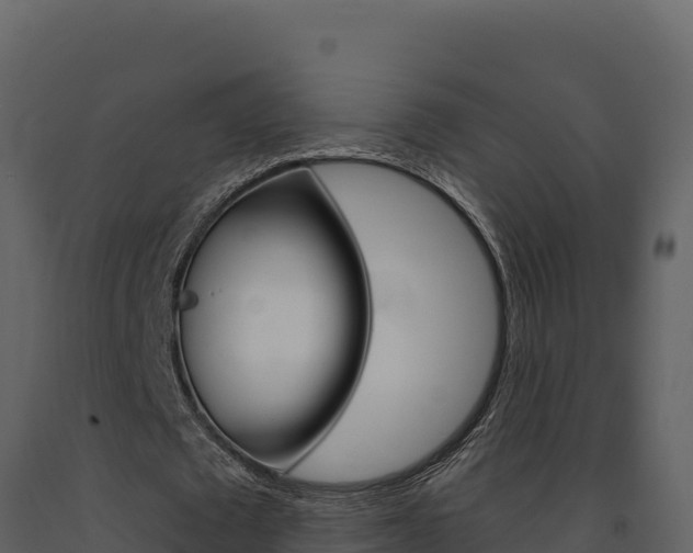 X0000091730673200708241044