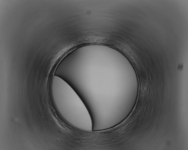 X0000091730674200708241044