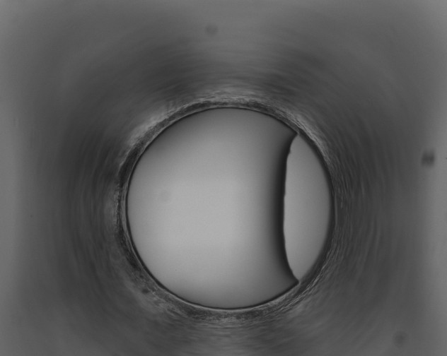 X0000091730675200708241044