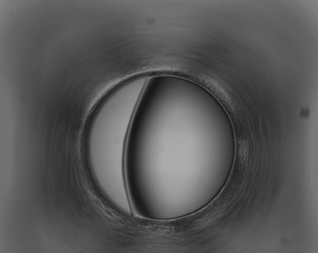 X0000091730676200708241044