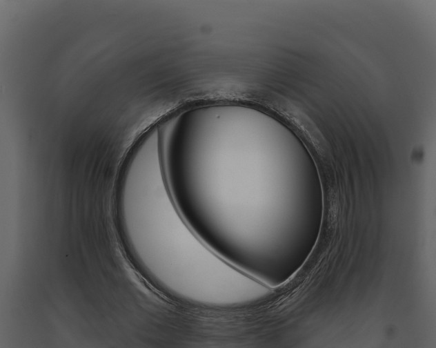 X0000091730677200708241044