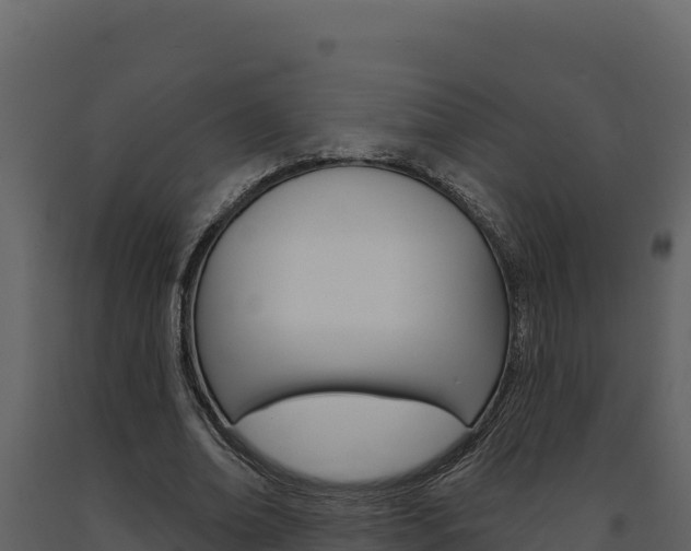 X0000091730678200708241044