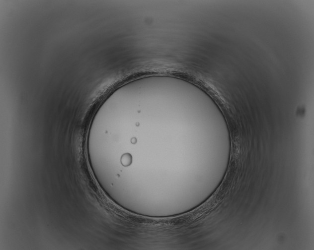 X0000091730679200708241044