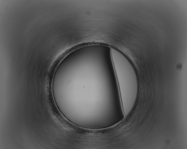 X0000091730680200708241044
