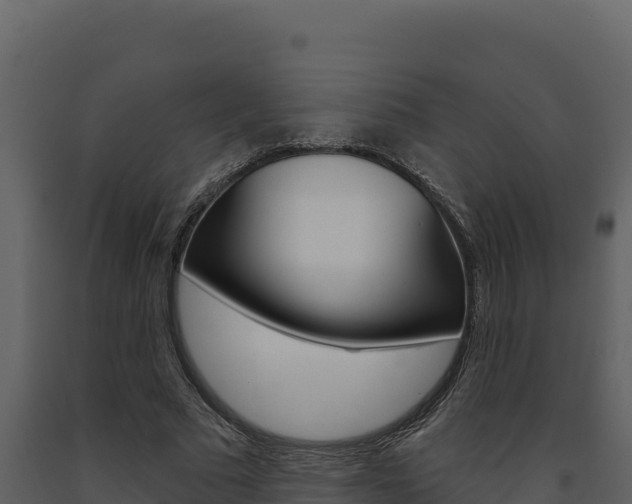 X0000091730681200708241044