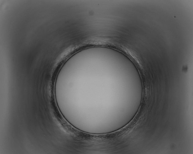 X0000091730682200708241044