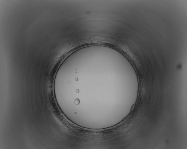 X0000091730683200708241044