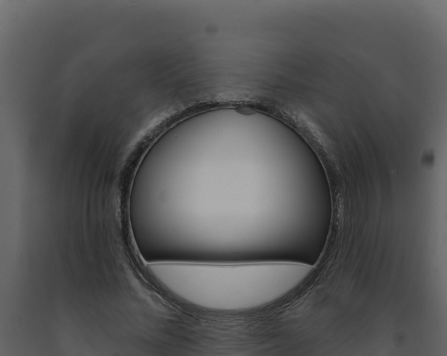X0000091730684200708241044