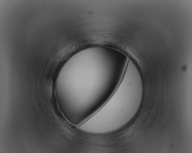 X0000091730685200708241044