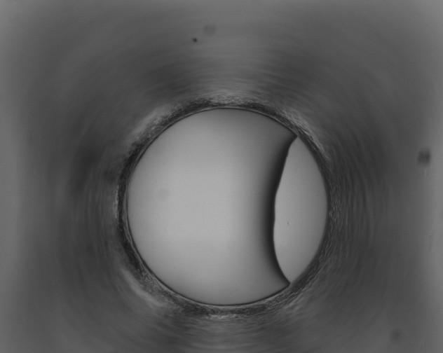 X0000091730686200708241044