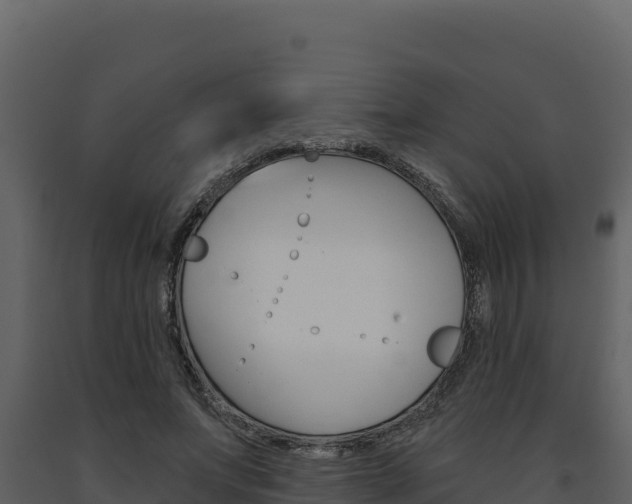 X0000091730687200708241044