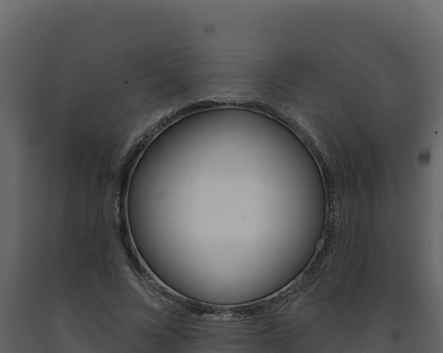 X0000091730688200708241044