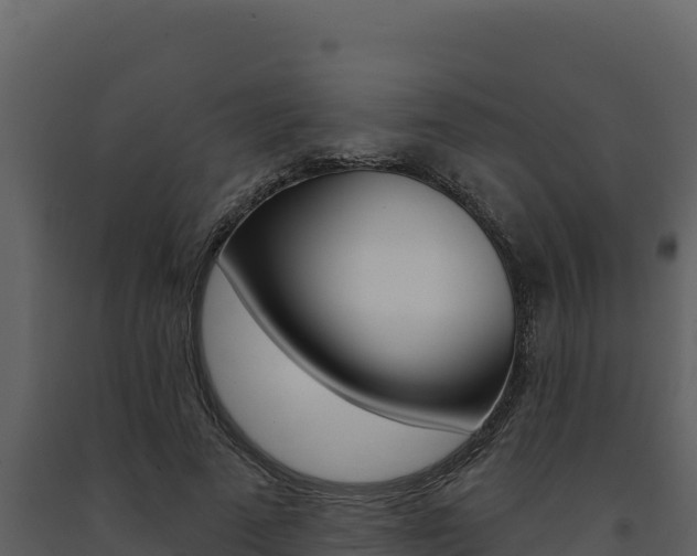 X0000091730689200708241044