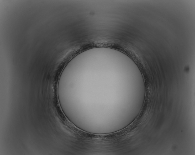 X0000091730690200708241044