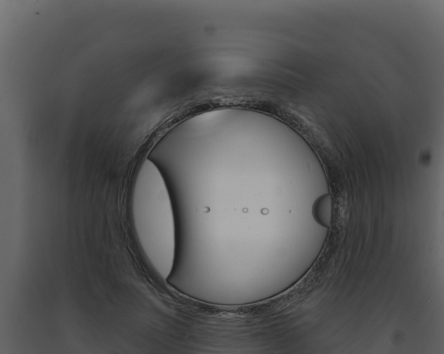 X0000091730691200708241044