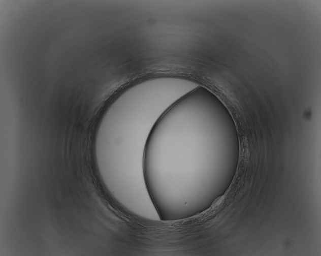 X0000091730692200708241044