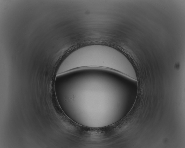 X0000091730693200708241044