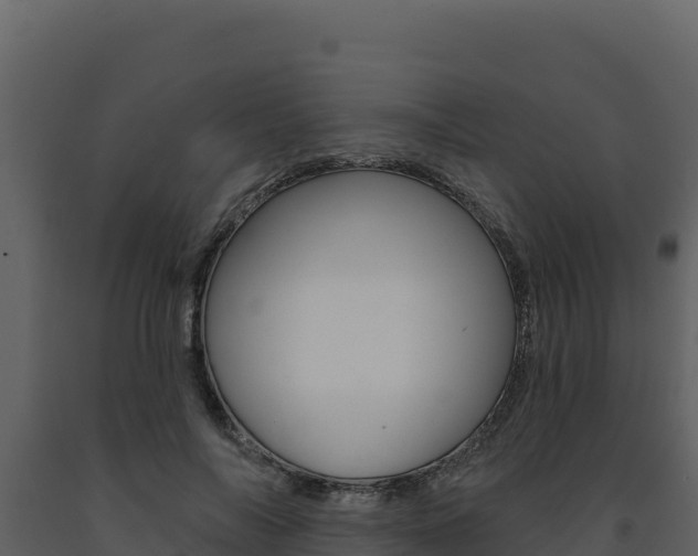 X0000091730694200708241044