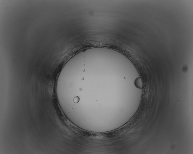 X0000091730695200708241044
