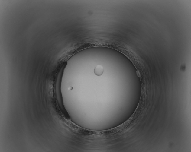 X0000091730696200708241044