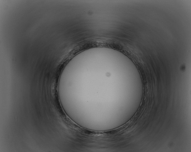 X0000091730698200708241044