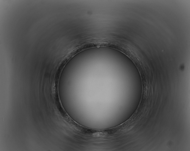 X0000091730700200708241044