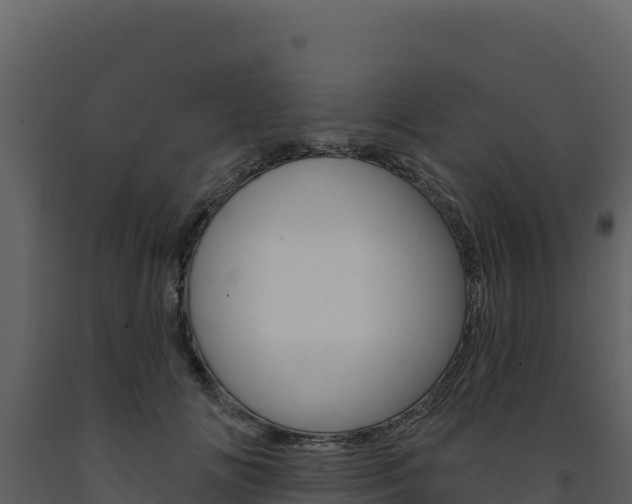 X0000091730702200708241044