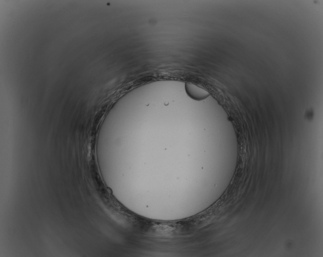 X0000091730703200708241044