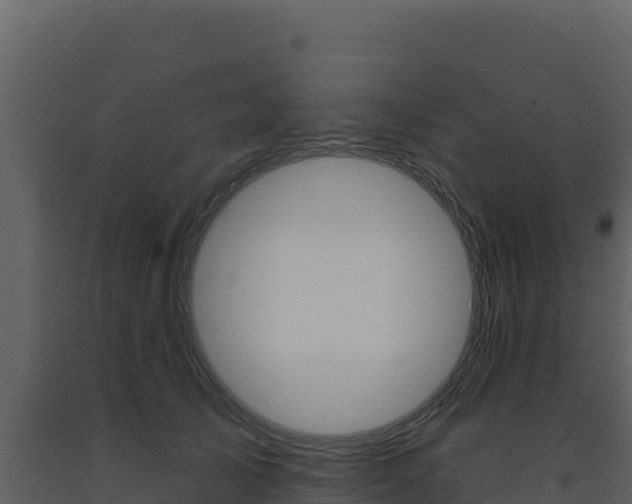 X0000091730705200708241044
