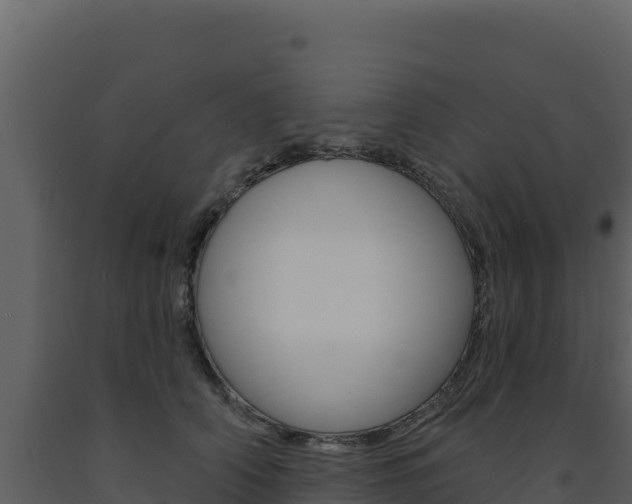 X0000091730706200708241044