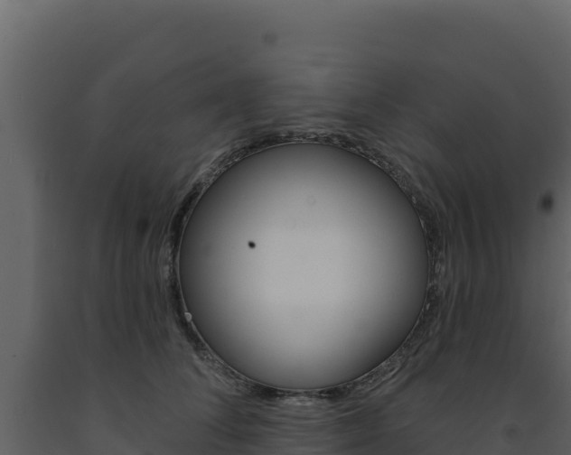 X0000091730708200708241044