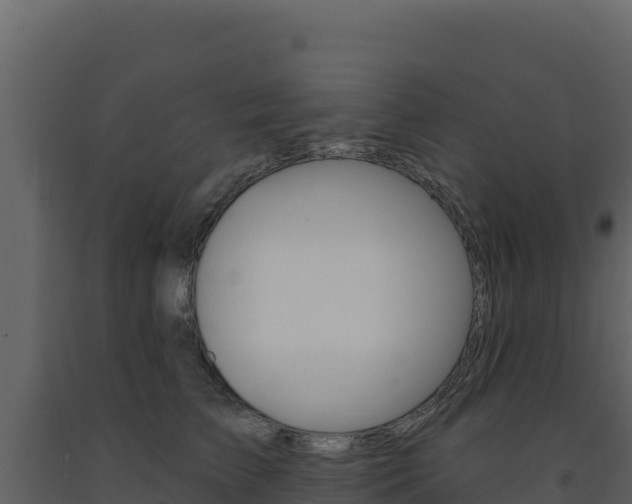 X0000091730709200708241044