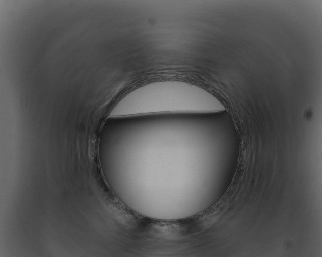 X0000091730712200708241044