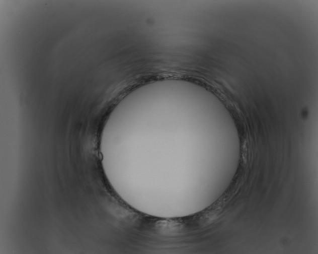 X0000091730714200708241044