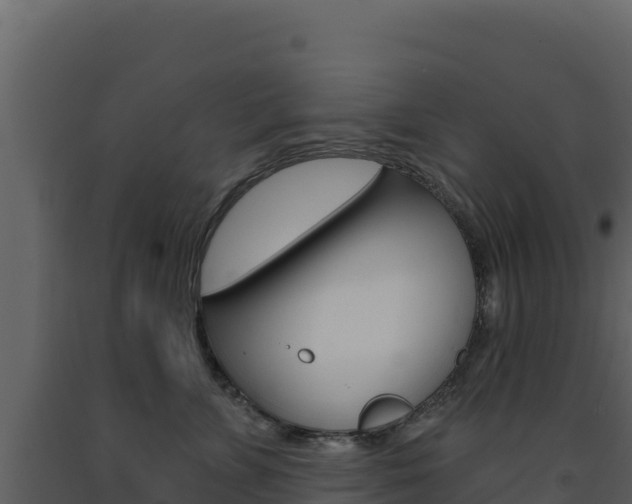 X0000091730715200708241044