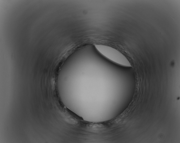 X0000091730716200708241044