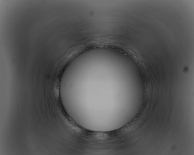 X0000091730719200708241044