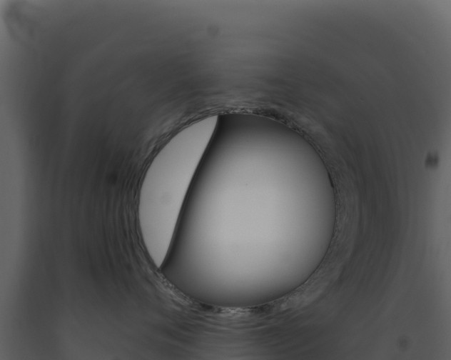 X0000091730720200708241044