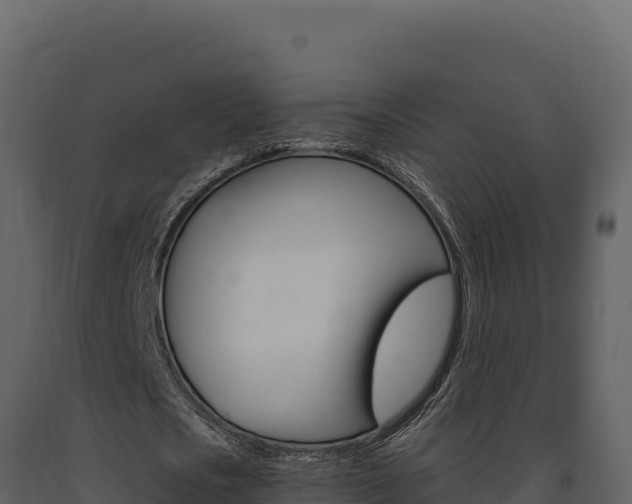 X0000091730721200708241043