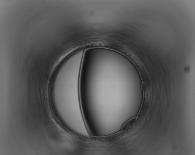 X0000091730722200708241043