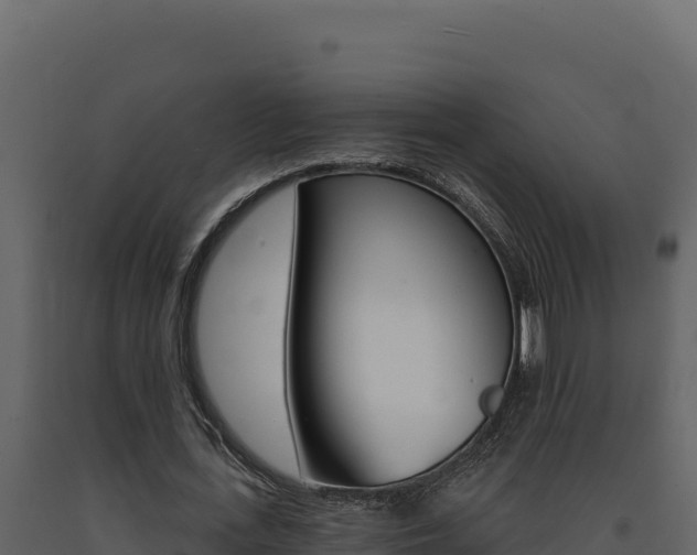 X0000091730723200708241043
